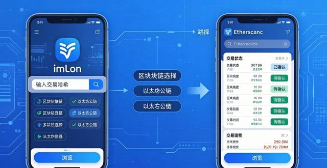 imToken安卓版：链上数据查询指南