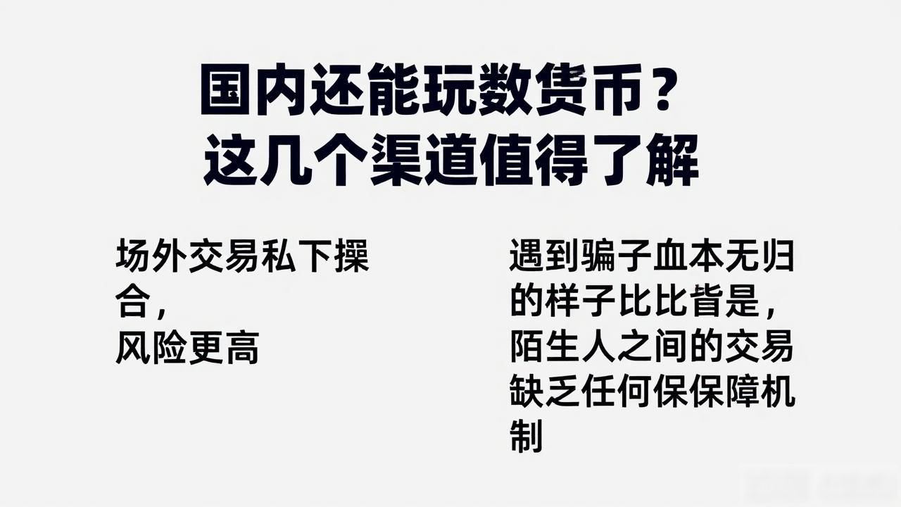 国内数字货币投资风险_国内能玩数字货币_海外数字货币交易所风险